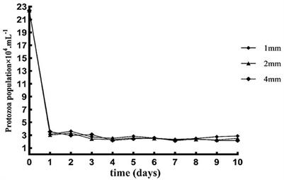 Appropriate particle size of rice straw promoted rumen fermentation and regulated bacterial microbiota in a rumen simulation technique system